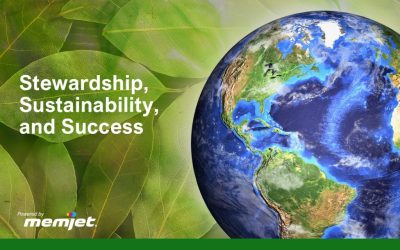 Stewardship, Sustainability, and Success