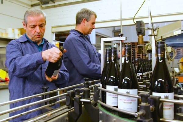 Case Study: Ortenauer Winery
